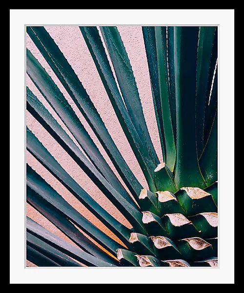 queence Bild Blätter   Foto   Kunst   Palmen   Stechpalmen HD Premium Poste günstig online kaufen