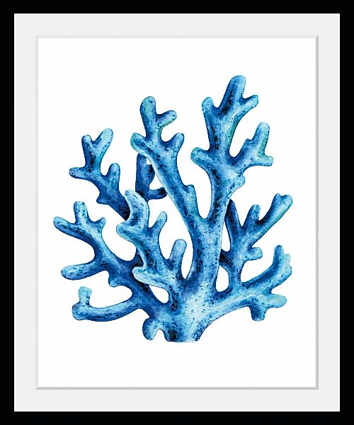 queence Bild »Angelika«, Meer-Wassertiere-Kunst, (1 St.), HD Premium Poster günstig online kaufen