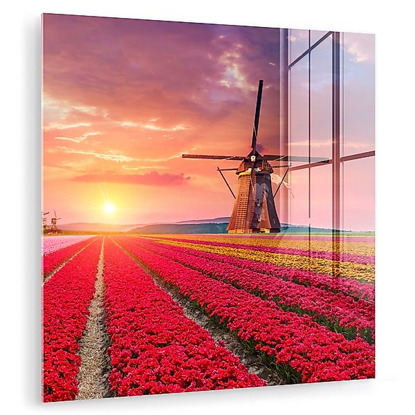 MuchoWow Acrylglasbild Blumen - Tulpen - günstig online kaufen