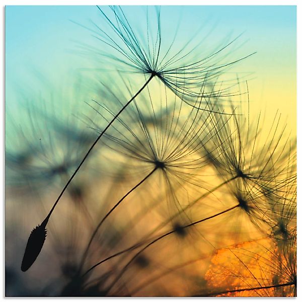 Artland Wandbild "Goldener Sonnenuntergang und Pusteblumen" Blumen 1 tlg. a günstig online kaufen