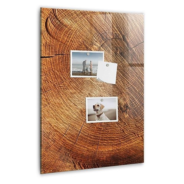 Tulup Glasmagnettafel Beschreibbar Querschnitt Des Stammes 40x60 cm Magnett günstig online kaufen
