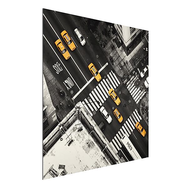 Alu-Dibond Bild - Quadrat New York City Cabs günstig online kaufen