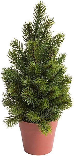 Botanic-Haus Künstliche Zimmerpflanze "Tannenbaum im braunem Kunststofftopf günstig online kaufen