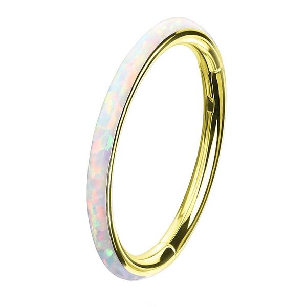 Taffstyle Nasenpiercing Piercing Segmentring Scharnier Clicker günstig online kaufen