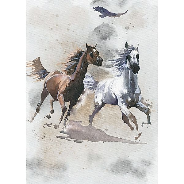 Komar Vliesfototapete Wild Ride 200 cm x 280 cm günstig online kaufen