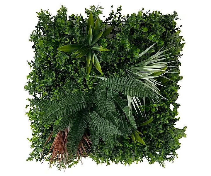 ASCountrystone Wandpaneel Wandgrün Kunsthecke, BxL: 50,00x50,00 cm, 0,25 qm günstig online kaufen