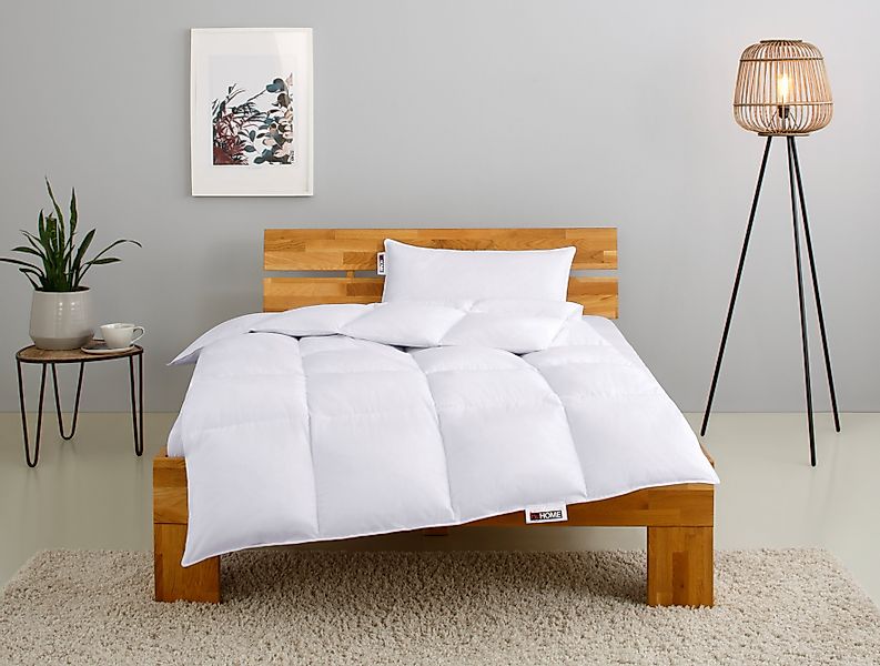 my home Kassettenbett + Kopfkissen RINA, günstig online kaufen