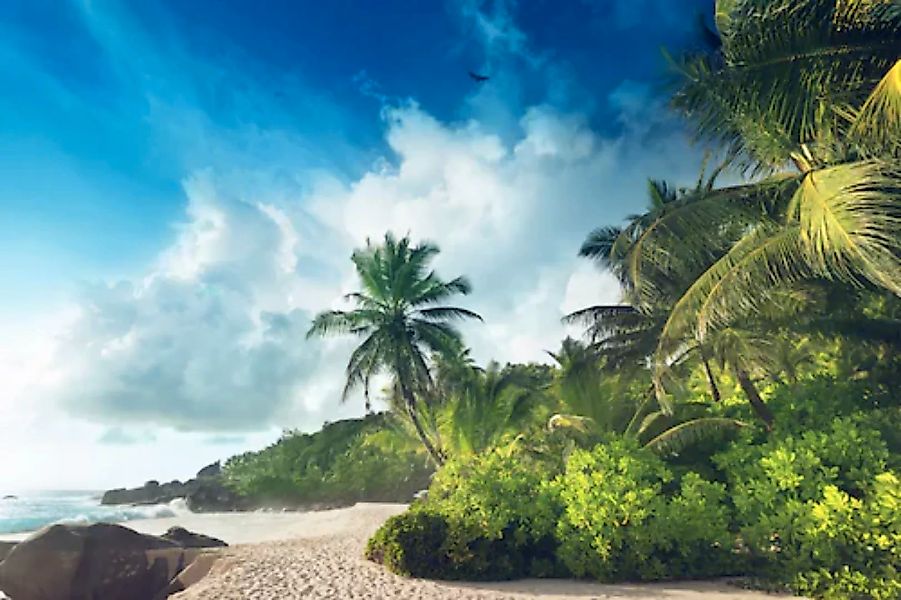 Papermoon Fototapete »PALMEN-STRAND-SEYCHELLEN TROPISCH INSEL AFRIKA KÜSTE« günstig online kaufen