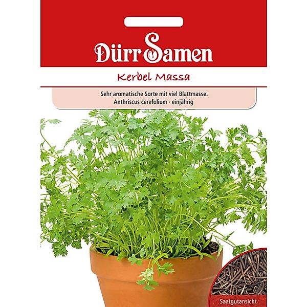 Dürr Samen Kerbel Massa Saatgut günstig online kaufen