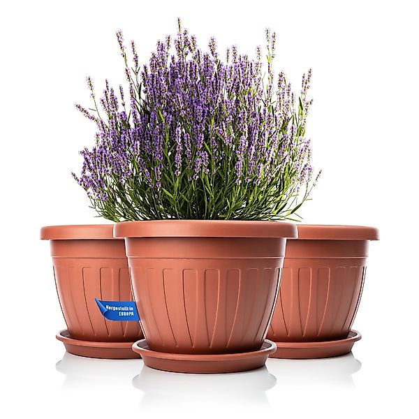BigDean Blumentopf 3x Blumentopf mit Untersetzer günstig online kaufen