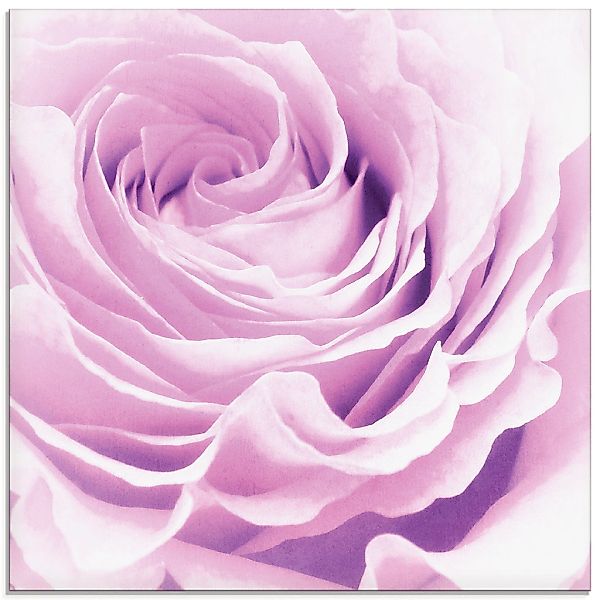 Artland Glasbild "Pastell Rose", Blumen, (1 St.), in verschiedenen Größen günstig online kaufen