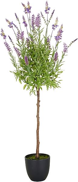 Kunstpflanze Lavendel, Creativ green, Höhe 95 günstig online kaufen