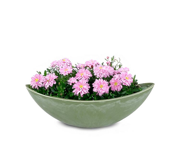 matches21 HOME & HOBBY Blumentopf Große Pflanzschale oval 39 cm für drausse günstig online kaufen