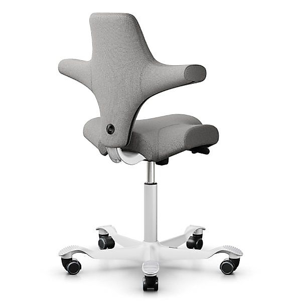HAG CAPISCO 8106 | Stoff Cura hellgrau | Gestell weiß günstig online kaufen