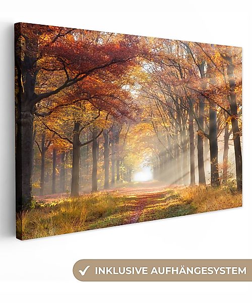 OneMillionCanvasses® Leinwandbild Herbst - Wald - günstig online kaufen