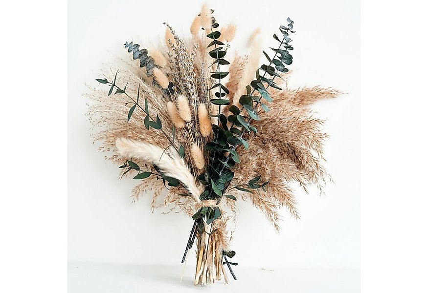 Trockenblume 63 Stück Pampasgras Trockenblumen Deko Natürliche Trockenblume günstig online kaufen
