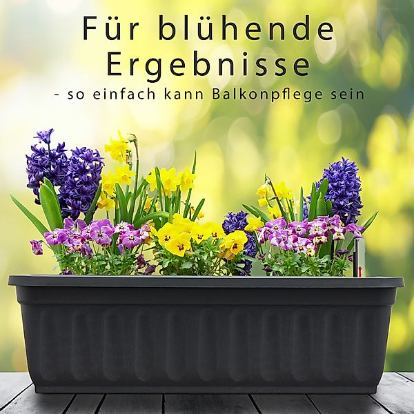 Hausfelder Blumenkasten Balkonkasten mit Wasserstandsanzeiger, Pflanzkasten günstig online kaufen