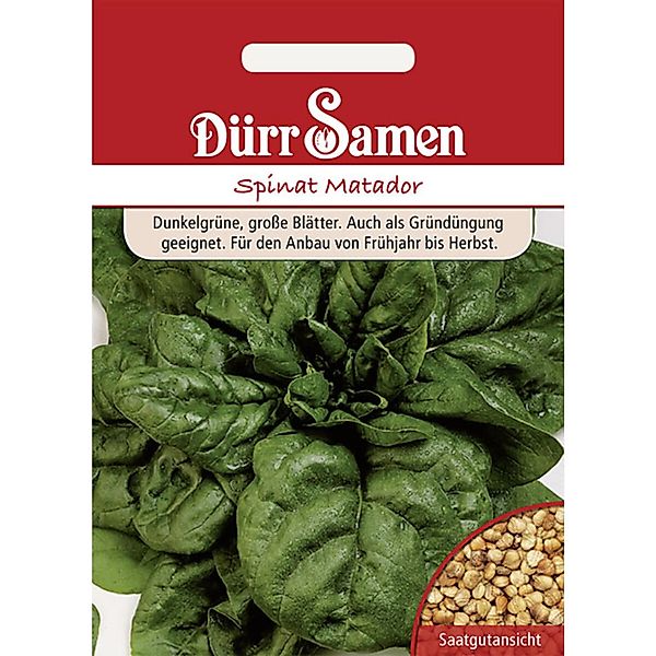 Dürr Samen Spinat Matador Saatgut günstig online kaufen