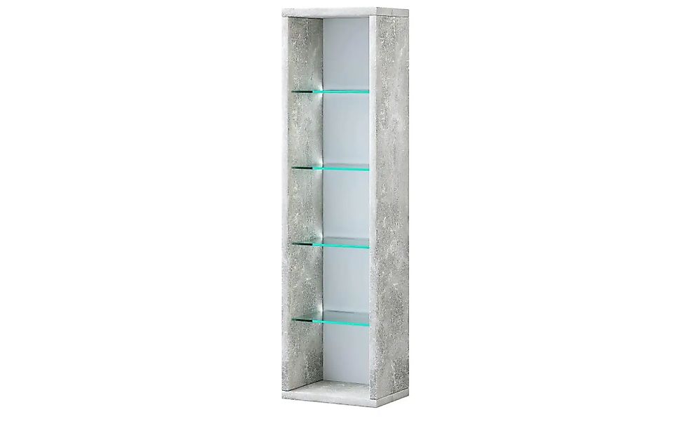 Hängeregal  Rasito ¦ grau ¦ Maße (cm): B: 21 H: 76,6 Regale > Wandregale - günstig online kaufen