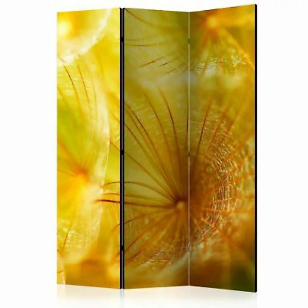 artgeist Paravent Soft dandelion flower [Room Dividers] gelb Gr. 135 x 172 günstig online kaufen
