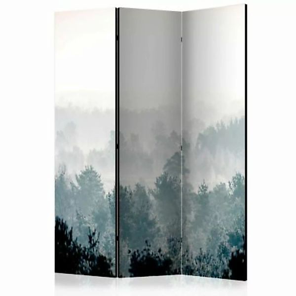 artgeist Paravent Winter Forest [Room Dividers] mehrfarbig Gr. 135 x 172 günstig online kaufen