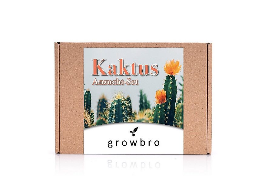 Kunstkaktus KAKTUS Anzuchtset inkl. Sprühflasche PERFEKTES GESCHENK, growbr günstig online kaufen