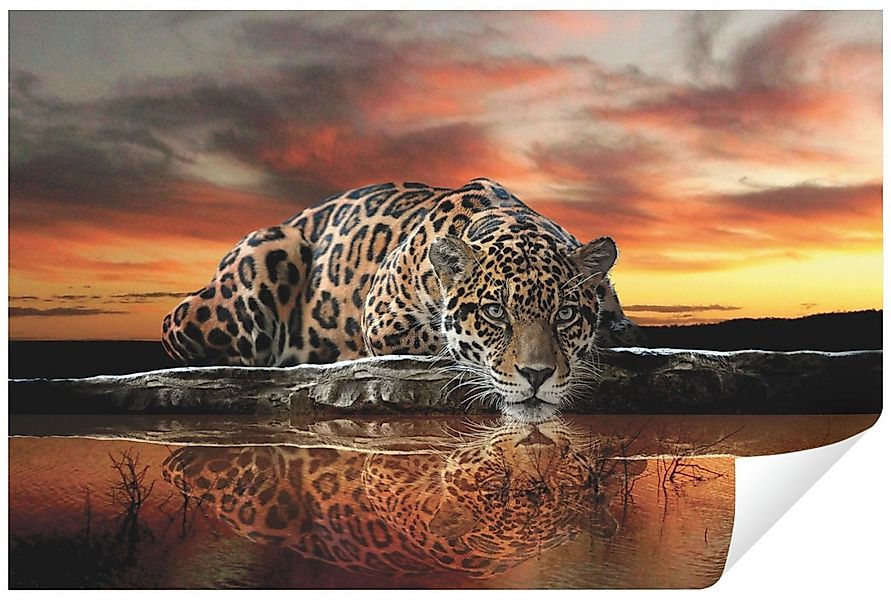 Wallarena Fototapete Lampard Tiere Tiger Natur Sonnenuntergang Vlies Tapete günstig online kaufen