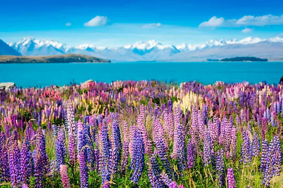 Papermoon Fototapete »Montain Lake with Flowers« günstig online kaufen