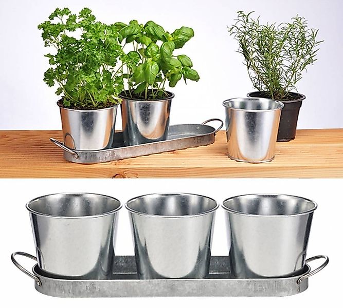 Haushalt International Kräutertopf günstig online kaufen