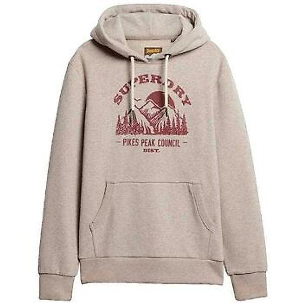 Superdry  Sweatshirt Sweat à capuche  Lo-fi Outdoor Graphic günstig online kaufen