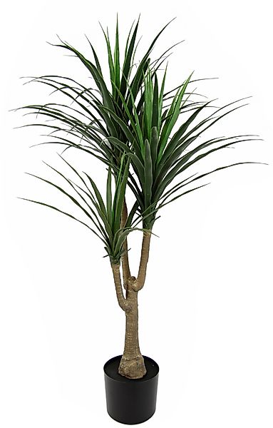 I.GE.A. Kunstbaum "Palme Dracena im Topf künstlich Pflanze Dracenapalme Zim günstig online kaufen