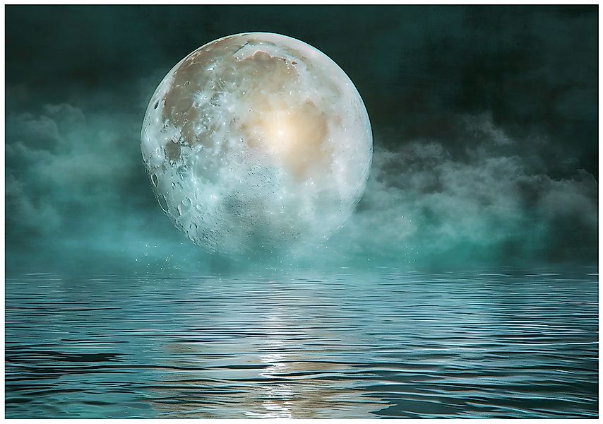 Wallarena Fototapete See Vollmond Natur Vlies günstig online kaufen