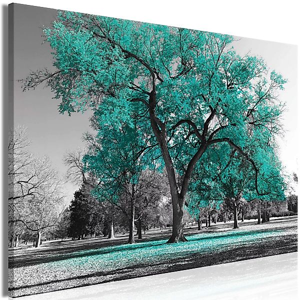 Wandbild - Autumn in the Park (1 Part) Wide Turquoise günstig online kaufen