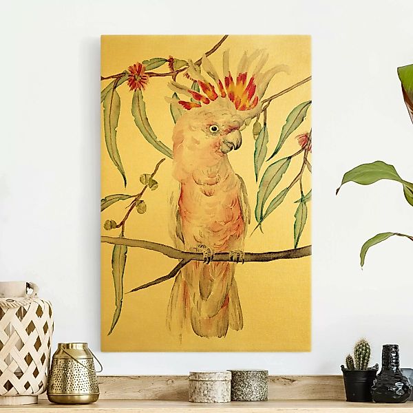 Leinwandbild Gold Kakadu mit Rosa Federn günstig online kaufen