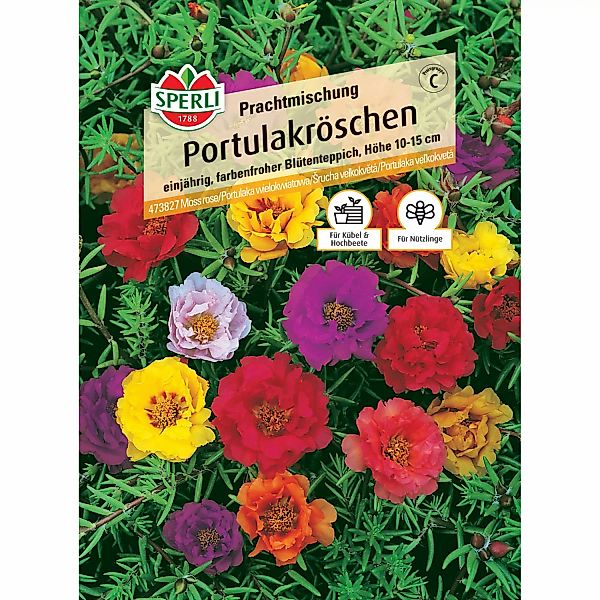 Sperli Portulakröschen Prachtmischung Portulaca grandiflora günstig online kaufen