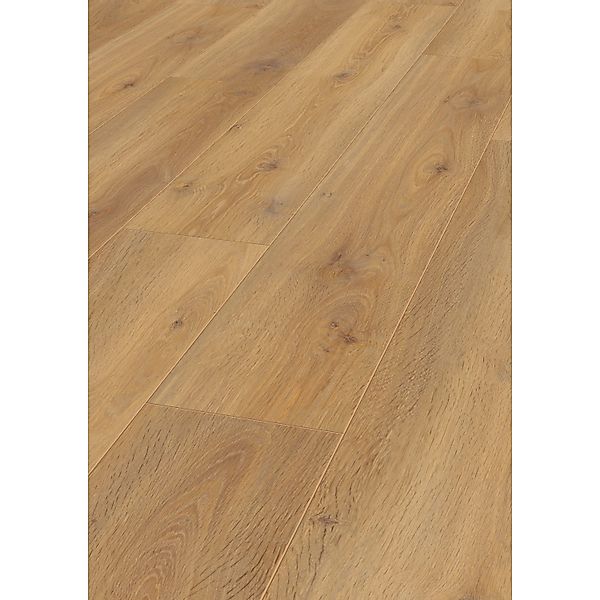 Jangal Laminatboden Oak National Park Line Ultimate Nairobi günstig online kaufen