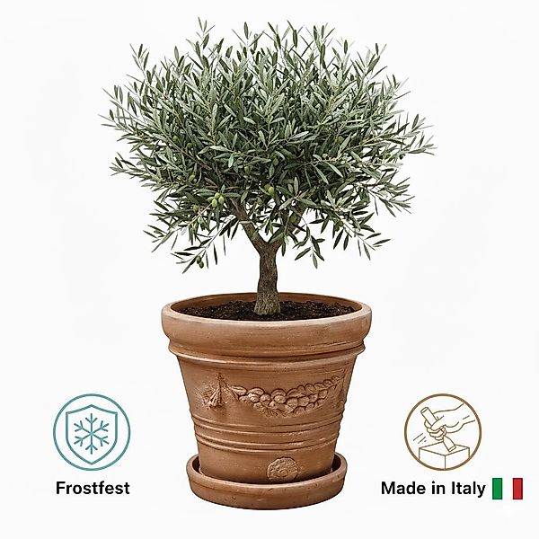 Teramico Pflanzkübel Terrakotta "Doppio Bordo Festonato" günstig online kaufen