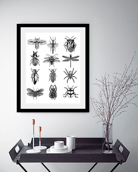 queence Bild »Insekten«, Tiere-Schwarz-Weiß-Kunst-Insekten, HD Premium Post günstig online kaufen