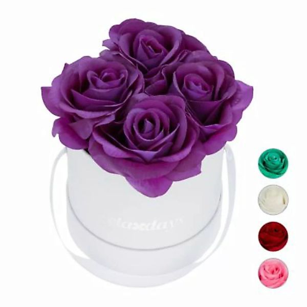 relaxdays Weiße Rosenbox rund 4 Rosen lila günstig online kaufen