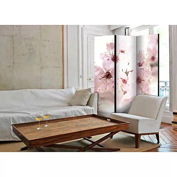 Raumteilerparavent mit Leinwand Füllung Kirschblüten Motiv günstig online kaufen