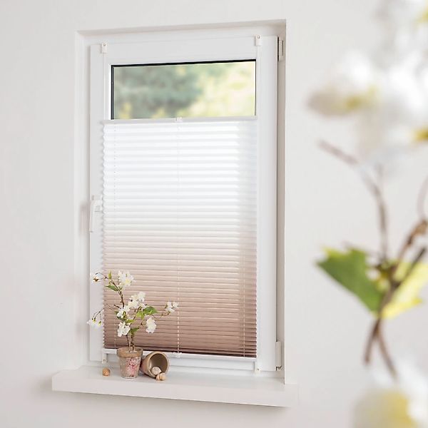 GARESA Plissee "Farbverlauf" Lichtschutz ohne Bohren verspannt einfache Mon günstig online kaufen