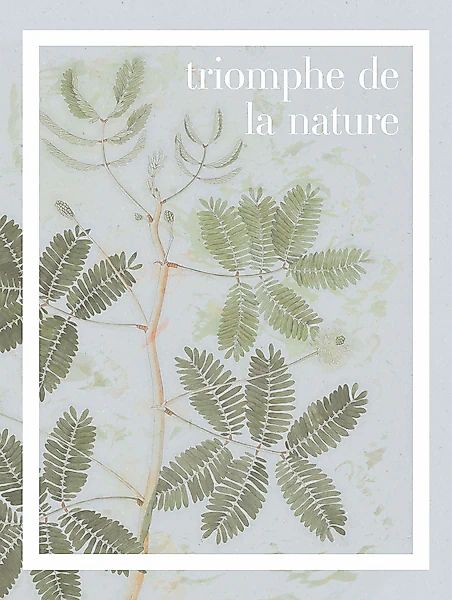 Komar Bild »PLANT ART Triomphe de la nature« Natur 1 Stk. tlg. Wandbild zur günstig online kaufen