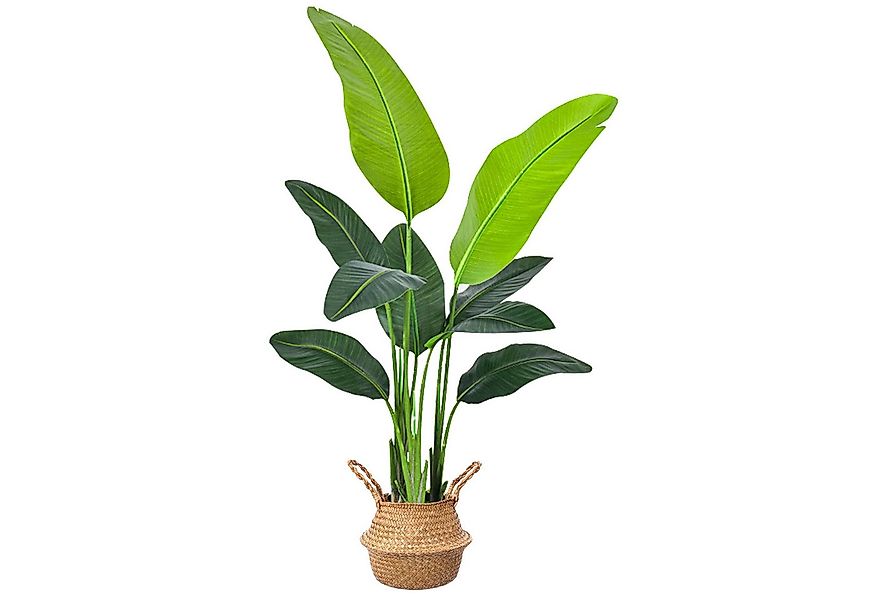 Kunstbaum Kunstpflanze Strelitzie Künstliche Pflanze, Höhe 120 cm/160 cm St günstig online kaufen