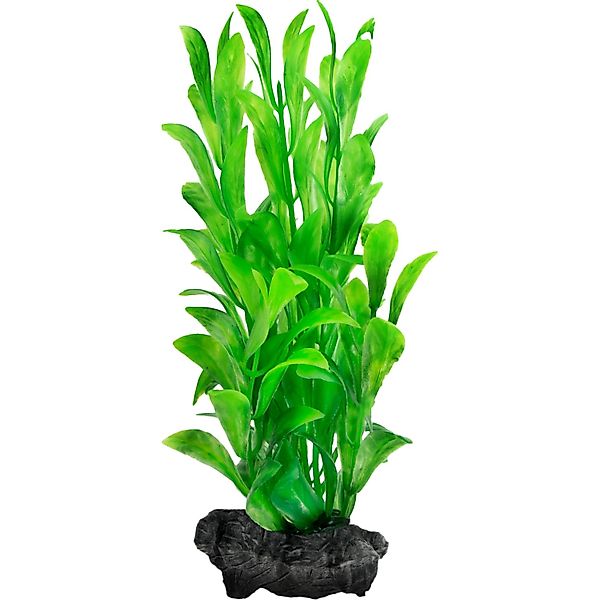 Tetra Kunstpflanze DecoArt Plant S Hygrophila günstig online kaufen