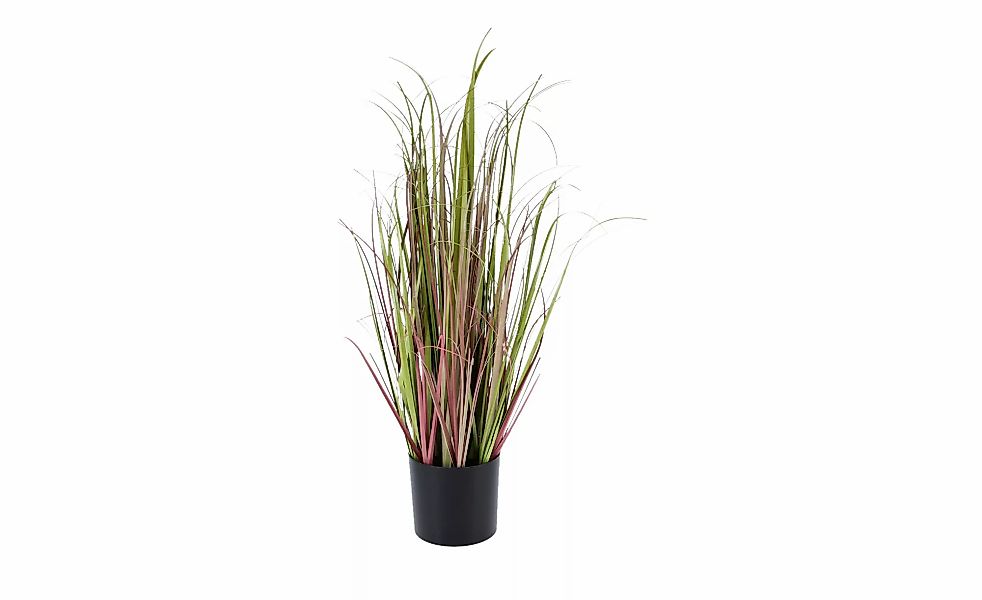 Grasbüschel getopft   ¦ rosa/pink ¦ Kunststoff,Zement ¦ Maße (cm): H: 70  Ø günstig online kaufen