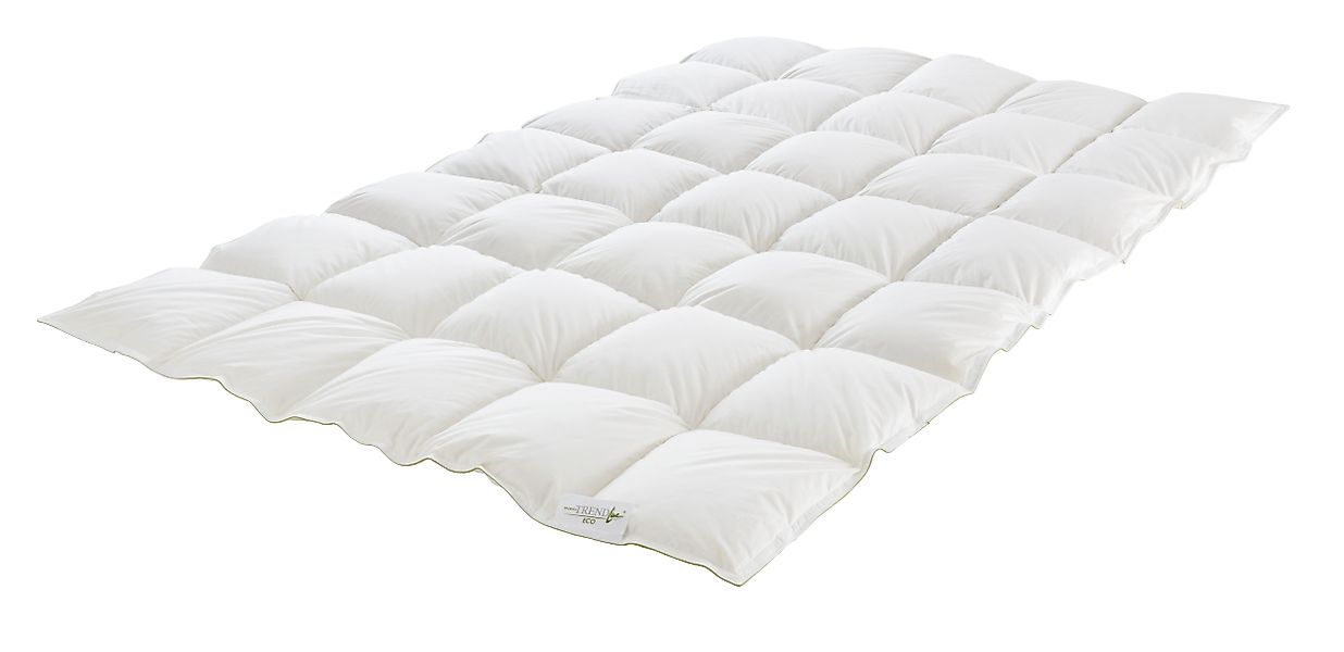 Badenia Trendline Daunenbettdecke Badenia Trendline® Eco, günstig online kaufen