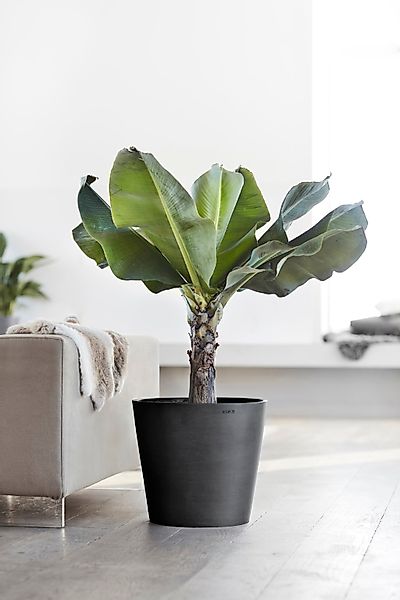 ECOPOTS Blumentopf AMSTERDAM Dark Grey, BxTxH: günstig online kaufen