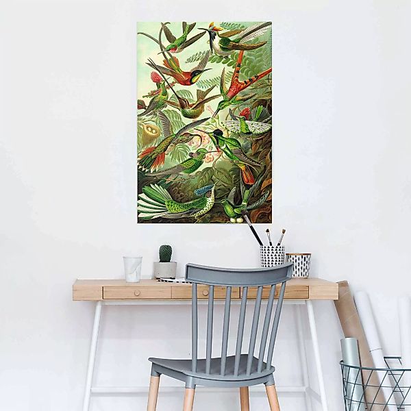 Reinders Poster "Hummingbirds Vogel - Tiermotiv - Natur - Botanisch - Ernst günstig online kaufen