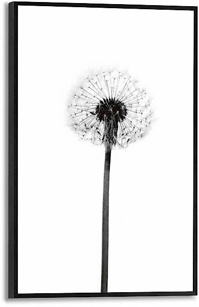 Reinders Poster "Pusteblume" günstig online kaufen