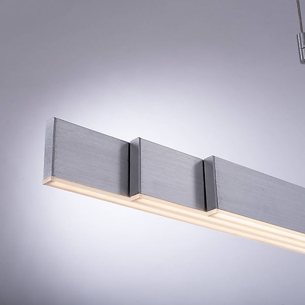 Paul Neuhaus LED Pendelleuchte LED Pendellampe günstig online kaufen